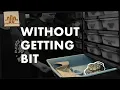 How to Pull Eggs from a Mother Python Free Tip Friday
