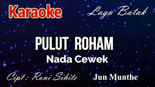 karaoke pulut roham nada cewek 