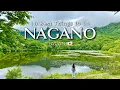 10 Best Things to Do in Nagano Japan The Ultimate Secret Route