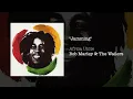 Jamming (Africa Unite, 2005) - Bob Marley & The Wailers