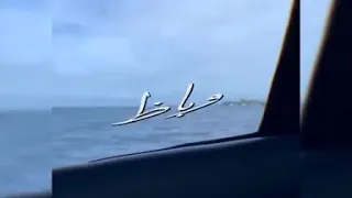 حبيبك بالاسم وخلاص   اتغير وباظ حبيبك اتغير وباظ  دندنها