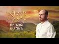 Lagu ✨ يا مولانا | Fadi Tolbi – Taqi Ghrib / Ya Maulana | Original Music Video