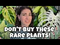 DON T BUY THESE RARE PLANTS The Rare Plant Scam Exposed