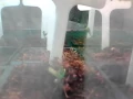 Attitude seed bank