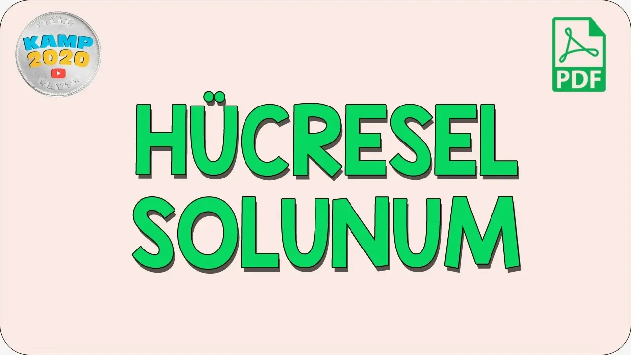 Hücresel Solunum | AYT Biyoloji 2020