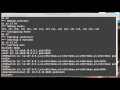 Mininet Custom Topologies