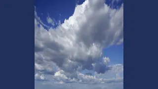 يحمامه طيري 