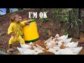 Download Lagu The smartest monkey! Boss Max takes good care of his farm