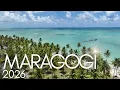 Maragogi Alagoas 2026 10 Reasons to Visit the Most Beautiful Destination in Brazil