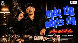 ترند التيك توك        ولا بفره ولا كارتله ولا فحم ولا دخان   كباتشى مصر               دندنها