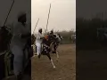 Download Lagu Horse lover🐴🐴❤❤ #horse 🐴😍 butt club khepranwala viral💯 page💯💯 Chanel ko subscribe kar de💯💯💯