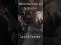 Lagu Where Dead Angels Lie (Dissection Dark Folk Cover) #blackmetal #folk #acoustic