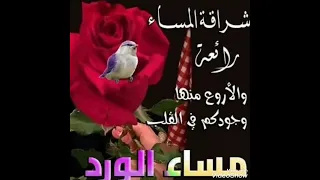 مساء الخير حالات واتساب 