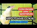 Download Lagu kepodang emas jawa gacor ‼️pancingan untuk semua jenis kepodang agar bunyi