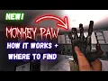 How To Use The Monkey Paw In Phasmophobia NEW UPDATE