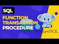 Master PostgreSQL Functions Transactions and Procedures in 9 Minutes Only