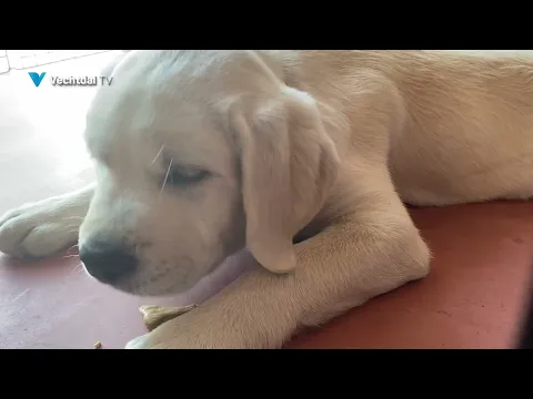 Hulphond Sam steun voor ouderen bij dagbesteding