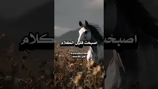 أصبحت قليل الكلام 