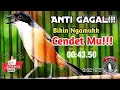 Download Lagu Pancingan Cendet Anti gagal bikin cendet mu ngamukk!!