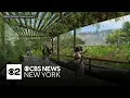 37 5M restoration coming to Vale of Cashmere in Prospect Park