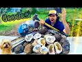 Geode Hunting Revealing its Inner Beauty Geode Cracking