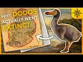Why DODOS Actually Went EXTINCT Island Biogeography 1