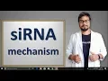 Download Lagu siRNA MECHANISM in hindi