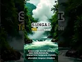 Download Lagu GILA! Sungai Air Mendidih yang Bisa Masak Kamu Hidup Hidup! 🔥😱 #shortsfeed #SungaiMendidih #shorts