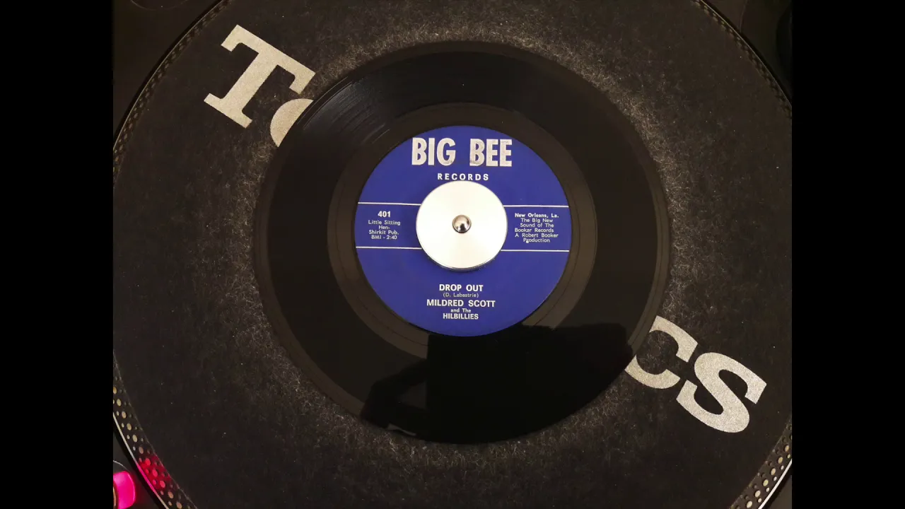 MILDRED SCOTT AND THE HILBILLIES drop out BIG BEE