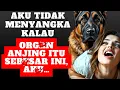 Lagu Dia tak pernah tahu apa yang dilakukan anjingnya   sungguh mengejutkan