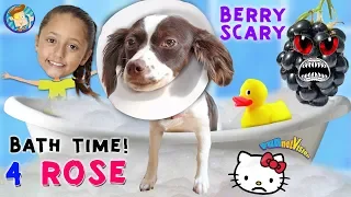 Bath Time for Rose Berry Scare Cam Treat Challenge The End of Hello Kitty FUNnel Vision Vlog