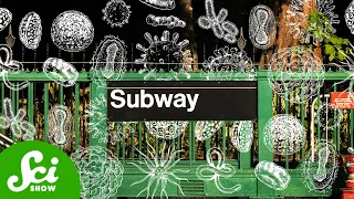 What's Really Living in the Subway