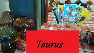 Taurus November 2026 ❤ EYES ON YOU! They Can't Wait To Properly Pursue You Taurus FUTURE LOVE