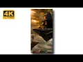 Maha Shivratri Special 4k Whatsapp Status Video 🔱 Mahadev Whatsapp Status 🔱 MahaShivratri Status 🔱