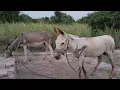 https://youtu.be/dqopPK3E98M?si=2P4J5-jGlkWtB3pq