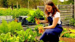 4 months in our No-Dig Garden: Harvests, Asparagus, and More (Timelapse) – Free Range Homestead Ep26