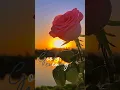 Good Evening
