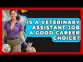 Is A Veterinary Assistant Job A Good Career Choice - Animal Care Jobs