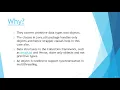 Wrapper Classes in Java
