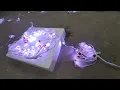Govee Permanent Outdoor Lights and Extensions