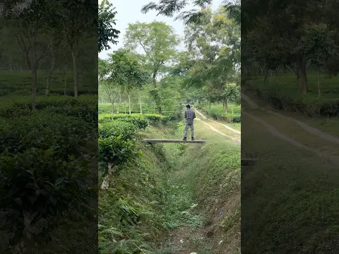 Tea garden re buluchi - #shorts #viral