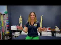 PTA Program Overview