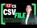 CSV File - Introduction Python Class 12 CS