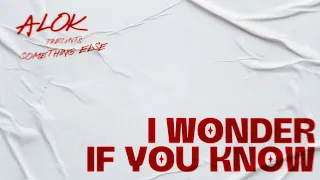 Alok, SOMETHING ELSE– I Wonder If You Know (Official Lyric Video)