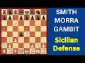 Chess Opening Smith Morra Gambit Interesting Ideas Plans