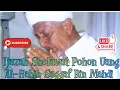 Lagu Ijazah Sholawat Pohon Uang #habibsaggaf bin Mahdi #shorts