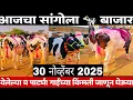 Lagu आजचा सांगोला गाई बाजार 30 नोव्हेंबर 2025जाणून घेऊया शेतकऱ्यांच्या गाईंच्या किंमती#sangola_cow_market