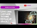05 Why DNA contains Thymine instead of Uracil Explained by Erina
