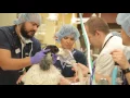 VCA Veterinary Referral Associates Emergency Veterinary Hospital