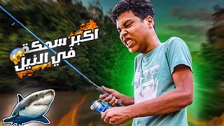 رحلة البحث عن اكبر سمكة في النيل      دندنها